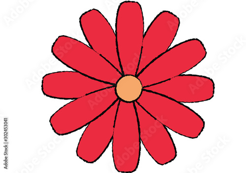 花　オステオスペルマム　赤