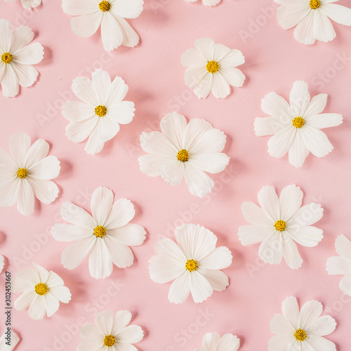 A beautiful pattern with white chamomile  daisies flowers on pale pink background. Floral texture or print. Holiday  wedding  birthday  anniversary concept.  Flat lay  top view.