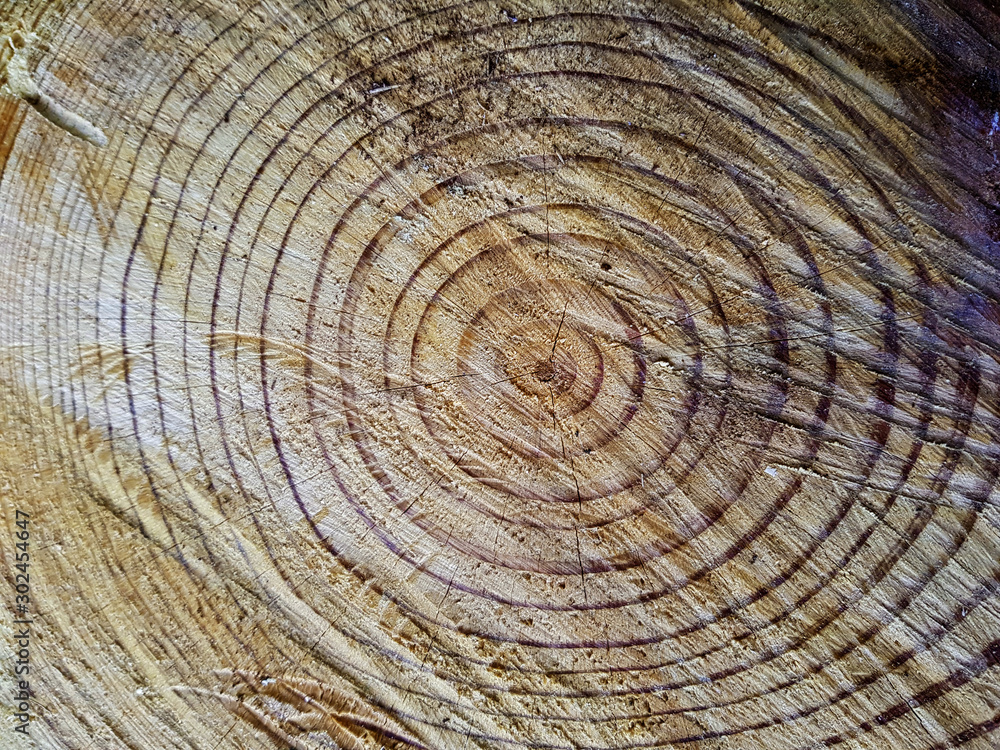 Naklejka premium Legno