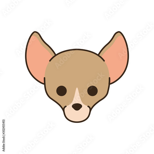 cute little dog chihuahua head fill style icon
