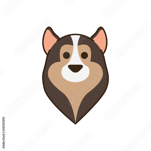 cute little dog collie head fill style icon