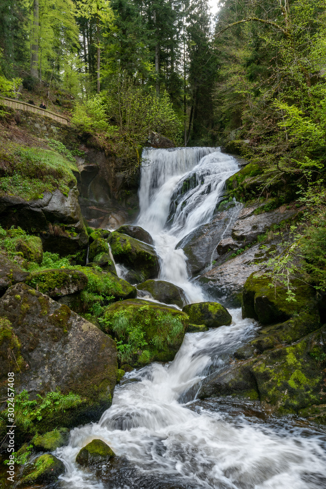 Long exposure of a waterfall in a green forest with some stones and small plants in the foreground Long exposure of a waterfall in a green forest with some stones and small plants in the foreground