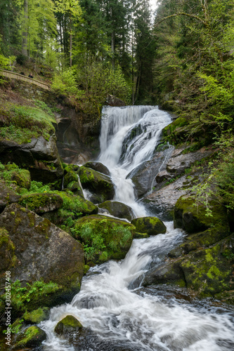 Long exposure of a waterfall in a green forest with some stones and small plants in the foreground