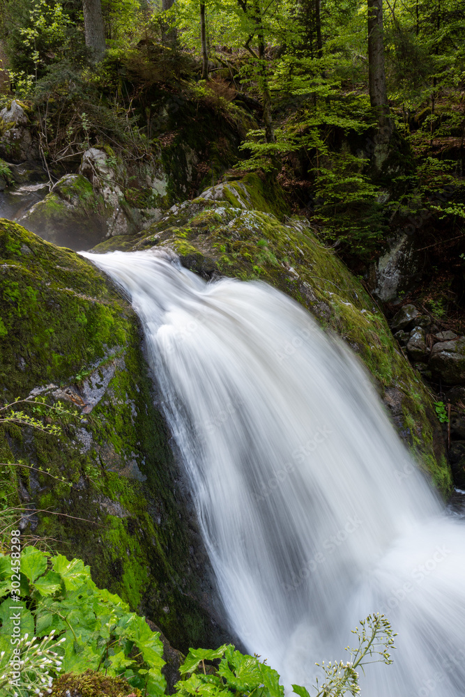 Fototapeta premium Ultra long exposure of a waterfall in a green forest with some stones and small plants in the foreground