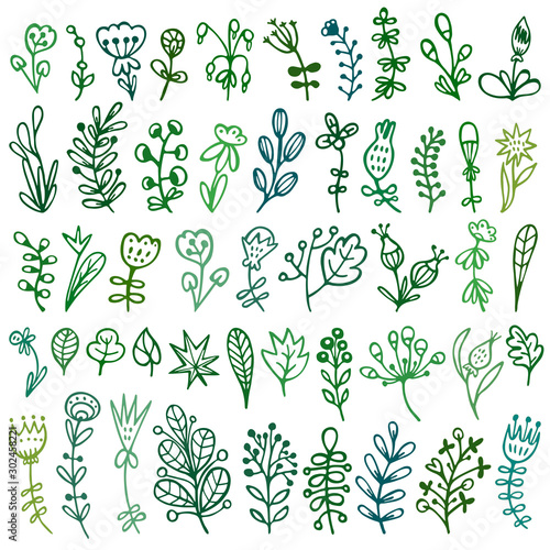 Bullet journal hand drawn vector elements for notebook, diary and planner. Set of doodles branches, herbs, flowers, plants.