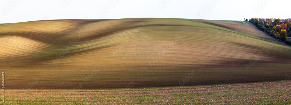 Panorama of beautiful fields in South Bohemian (Moravian Tuscany)