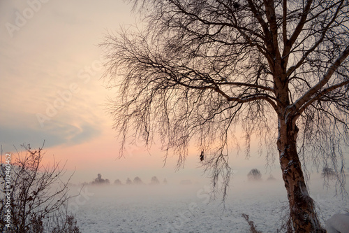 Winter Landschaft - Teufelsmoor bei Worpswede / Bremen © UlrikeAdam