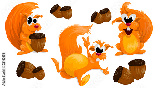 Set of three squirrels with acorns on a white background