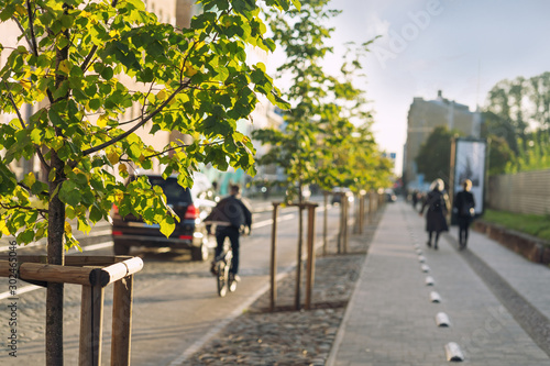 Fototapeta Naklejka Na Ścianę i Meble -  Street in the city with trees and a cyclist