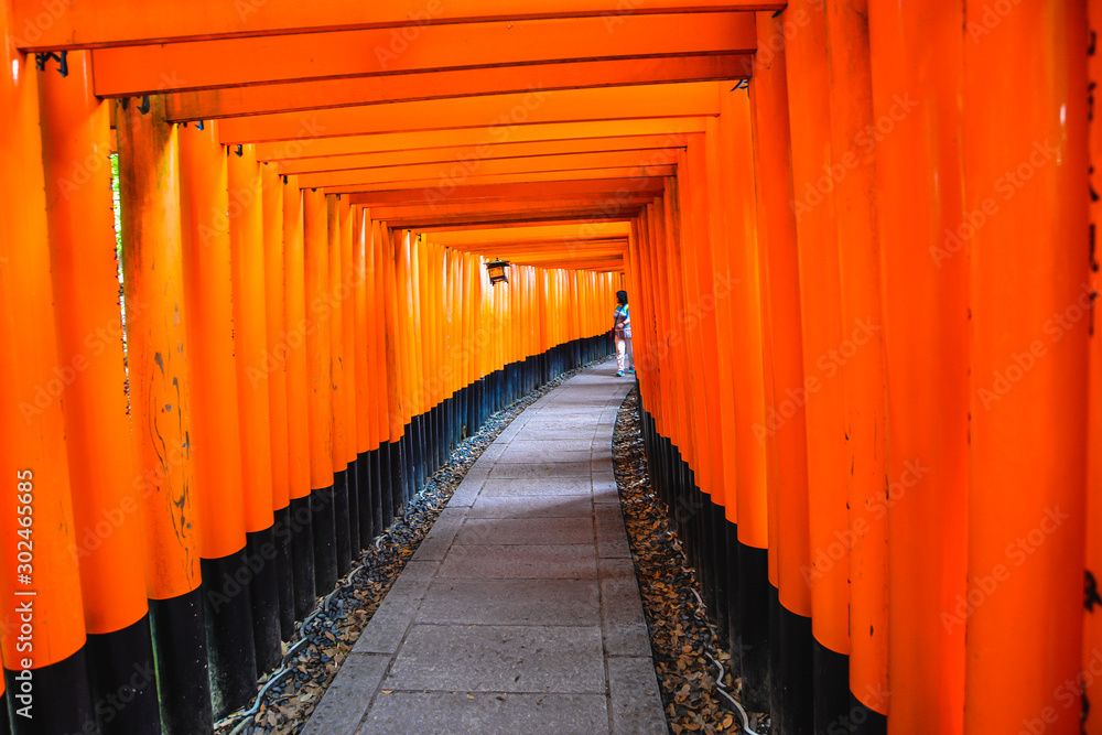 Fototapeta premium The iconic shrine in Kyoto, made famous for its thousands of orange and black torii gates which climb to the summit of Mt Inari