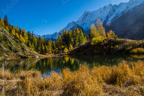 landscape of the Swiss Alps in autumn photo