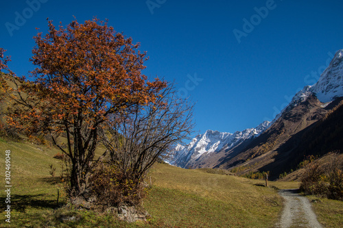 landscape of the Swiss Alps in autumn photo