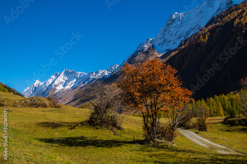 landscape of the Swiss Alps in autumn photo