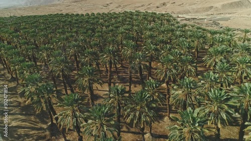 Wallpaper Mural Aerial footage of black cars driving on a remote desert road Torontodigital.ca