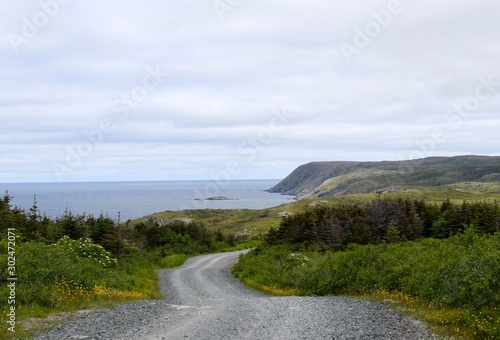 Baccalieu Trail landscape, road view from Old Perlican to Grates Cove Newfoundland Canada
