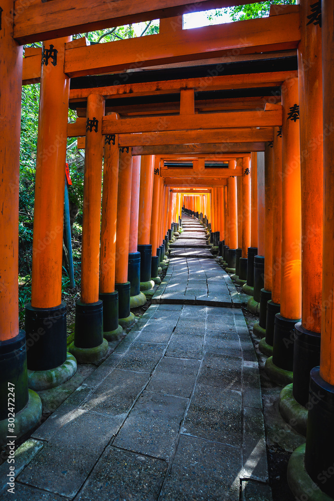 The iconic shrine in Kyoto, made famous for its thousands of orange and black torii gates which climb to the summit of Mt Inari The iconic shrine in Kyoto, made famous for its thousands of orange and black torii gates which climb to the summit of Mt Inari