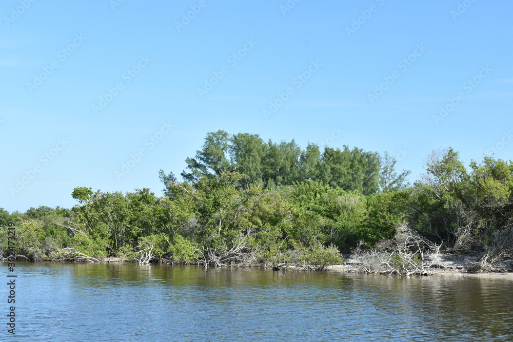 water, river, lake, nature, sky, landscape, trees, tranquil water, river, lake, nature, sky, landscape, trees, tranquil