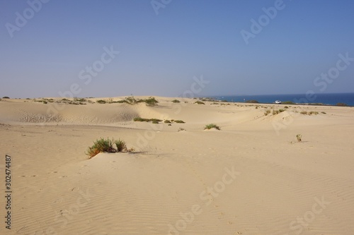 Sand Dunes on the Island