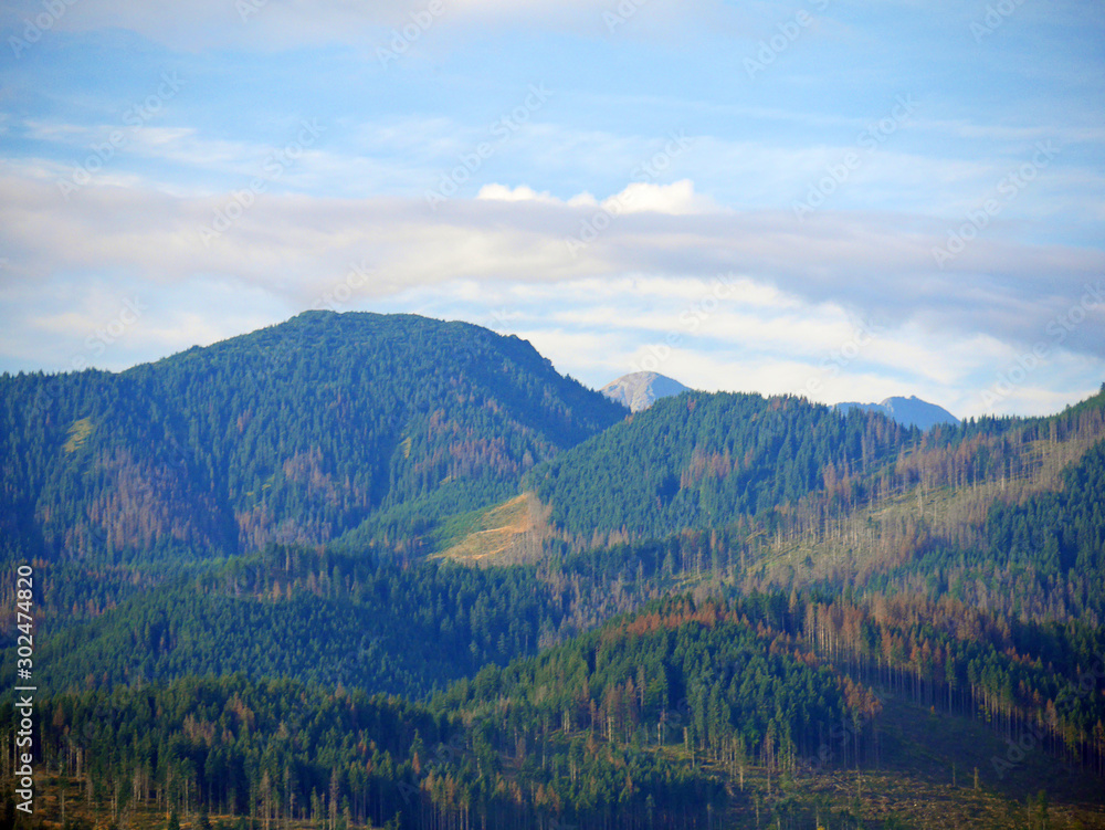 view of mountains in autumn panorama