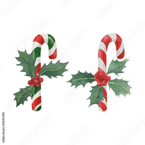 Christmas candy canes decorated for Christmas by holly branches isolated on white, watercolor illustration for winter holidays design