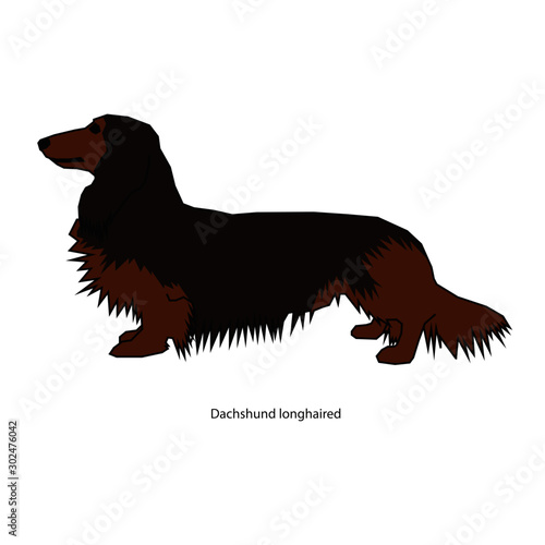 A dog vector illustration isolated