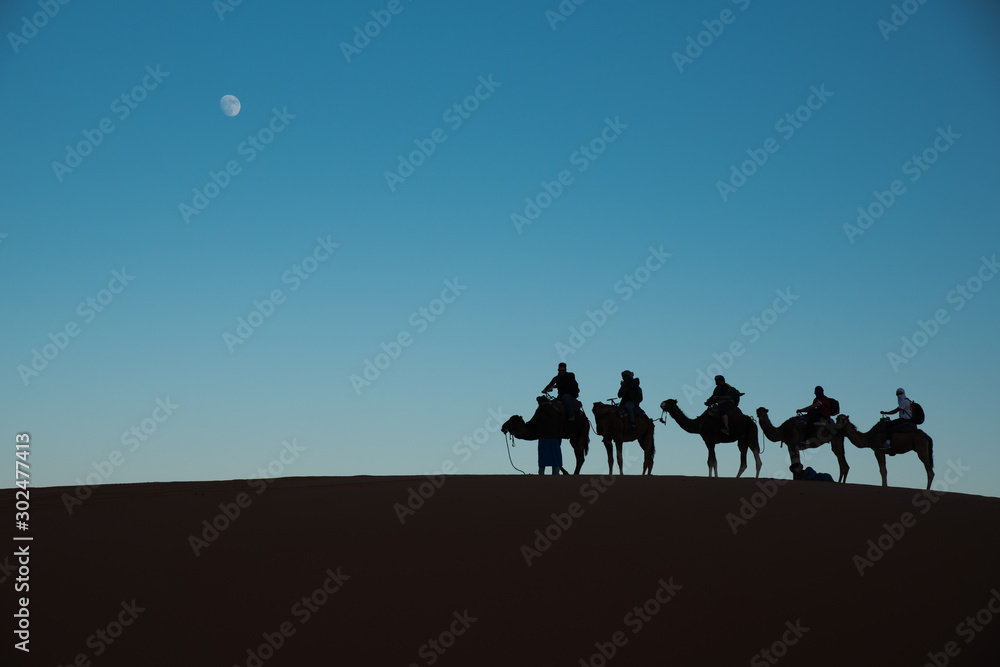 camel tour in the desert 