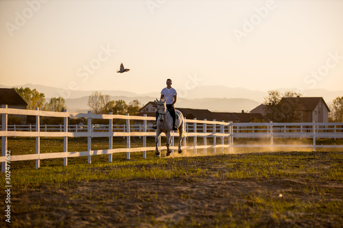 Horse and rider enjoy the day. © romul014