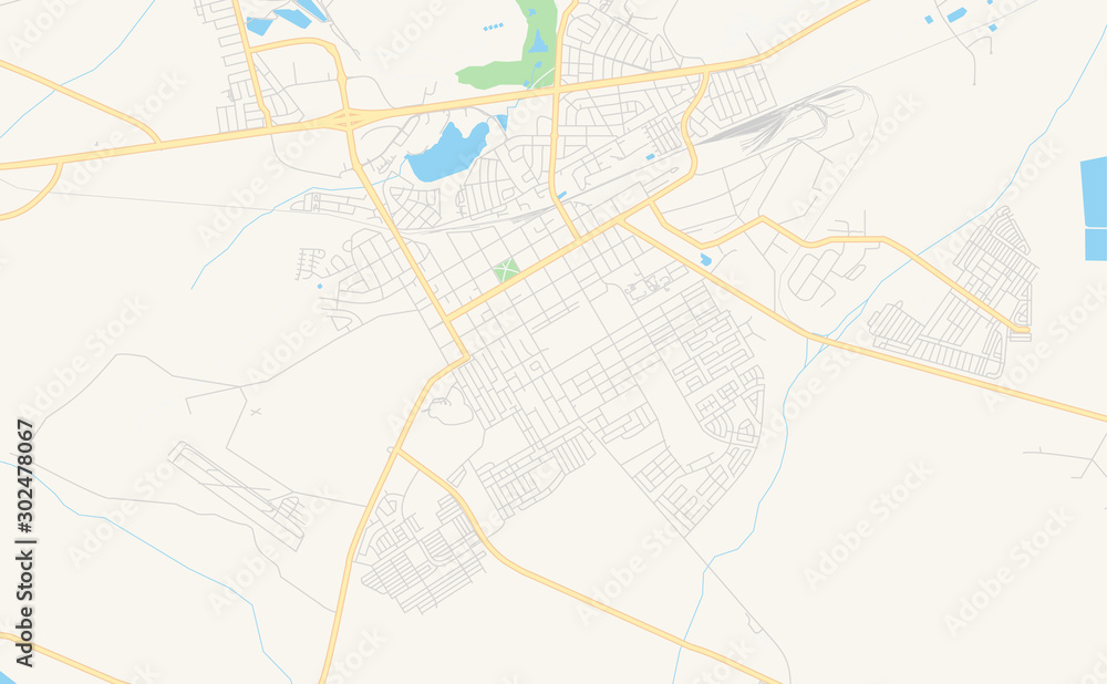 Printable street map of Worcester, South Africa