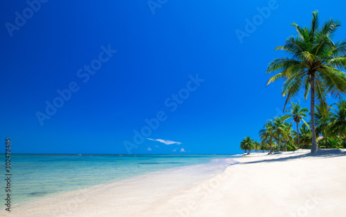 tropical beach in Sri Lanka