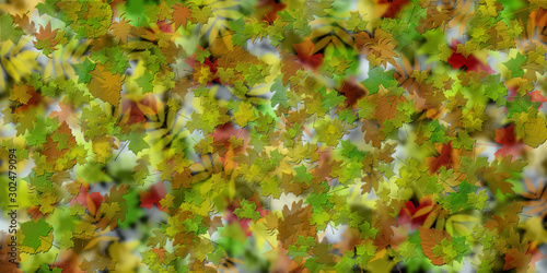 Autumn abstract background, autumn leaves