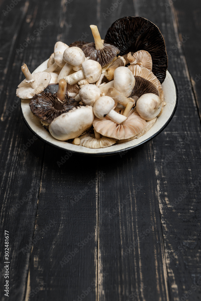Raw mushrooms on the black wooden table or boards. Young champignons, Tricholoma. Different forest big and small mushrooms together in enameled bowl. Raw mushrooms on the black wooden table or boards. Young champignons, Tricholoma. Different forest big and small mushrooms together in enameled bowl.