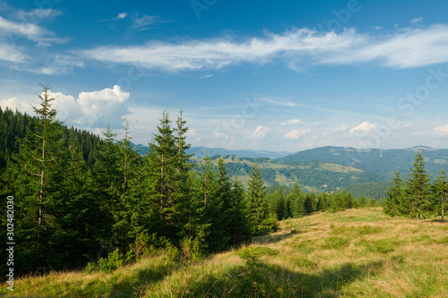 Landscape of bright summer day in Carpathian mountains, panorama of Carpathians, blue sky, trees and green hills, beautiful view © soleg