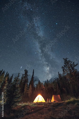 Stampa su tela Camping in pine forest with milky way and shooting star at Assiniboine provincia