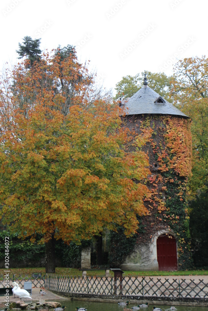 Fototapeta premium Automne