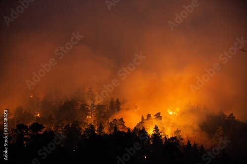 forest fire at night
