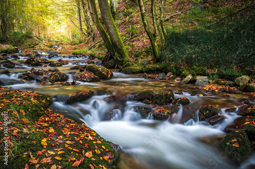 Langzeitbelichtung von einer Klamm mit buntem Herbstlaub im Vordergrund und im Hintergrund sieht man vereinzelt bemooste Bäume