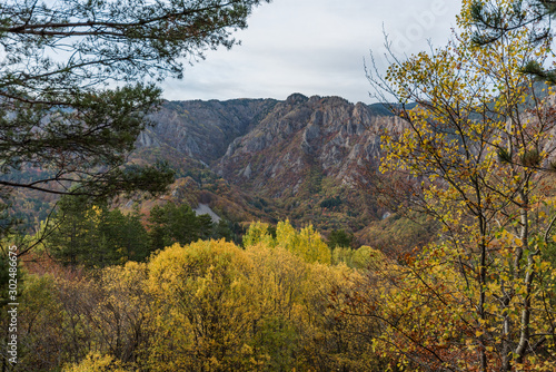 Viewpoint in Frakto forest in Rodopi mountain range national park