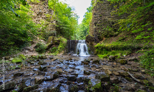 Forest around the ruins of Devil s Bridge  southern Poland