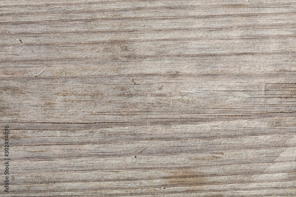 Large wood background texture Large wood background texture