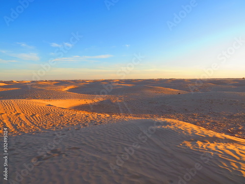 sunset in the Sahara desert