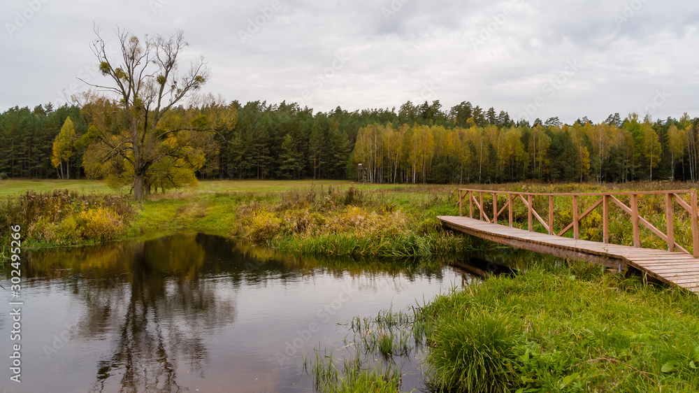 Puszcza Knyszyńska, Polska złota jesień, Podlasie, Polska Puszcza Knyszyńska, Polska złota jesień, Podlasie, Polska