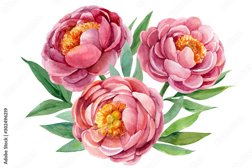 peonies, wedding bouquet, watercolor botanical illustration peonies, wedding bouquet, watercolor botanical illustration