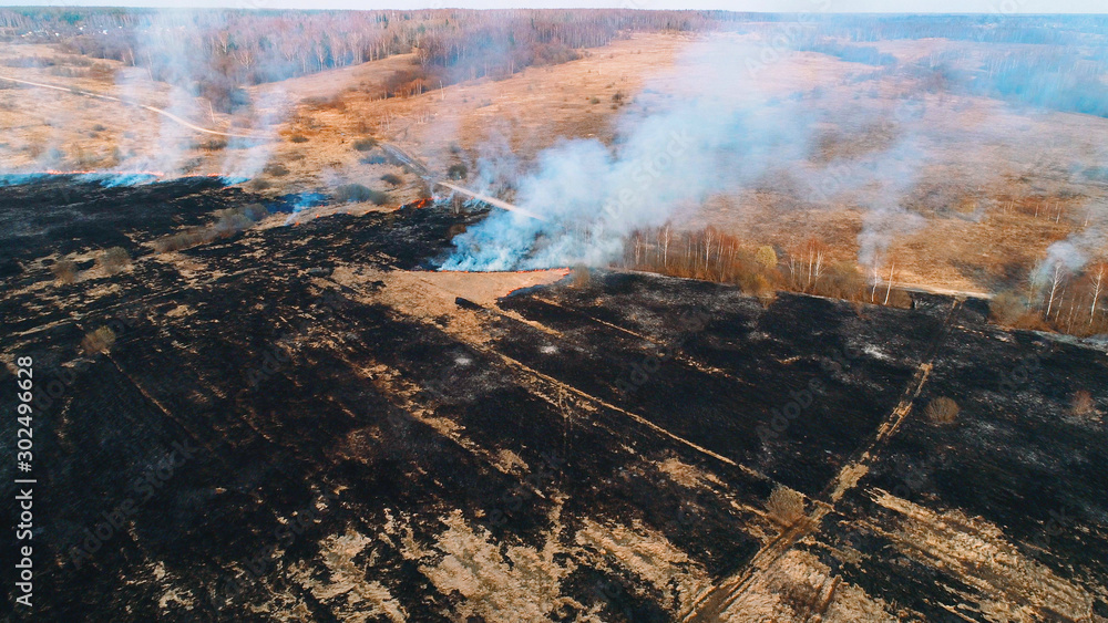 Fototapeta premium Large burnt field covered in black soot. Fire spreads in several places. Great smoke from burning places.