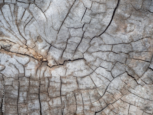 Dry cut texture wood in asia