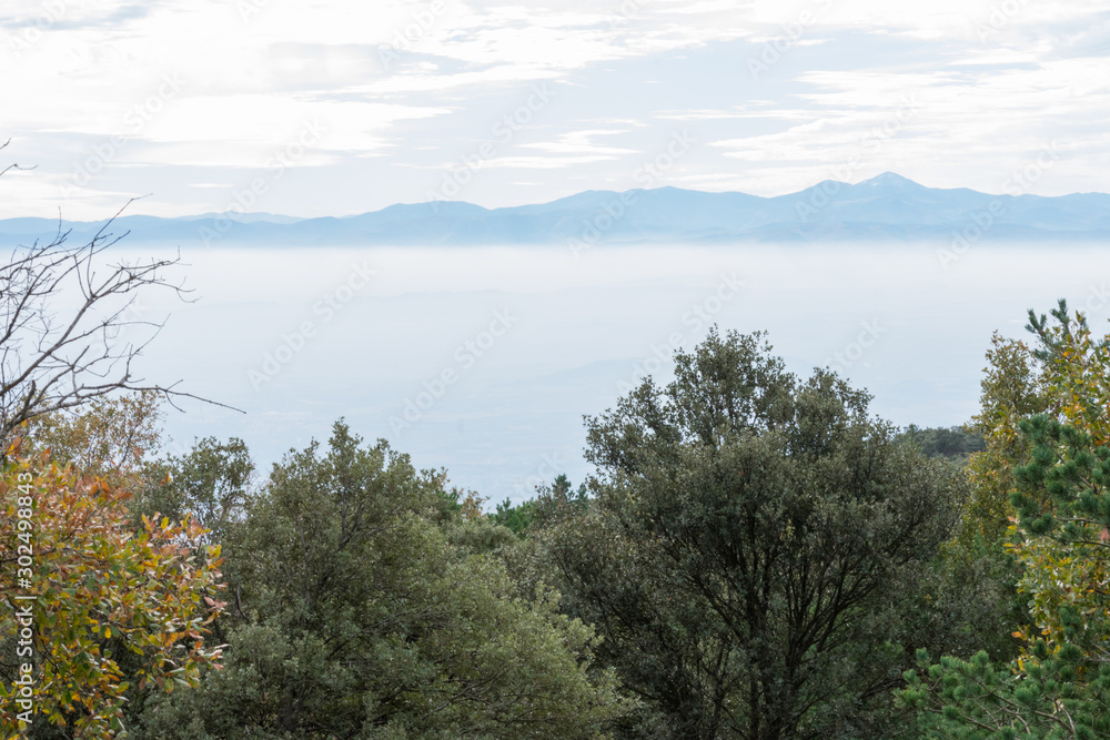 Fototapeta premium valley covered by clouds of fog between mountains