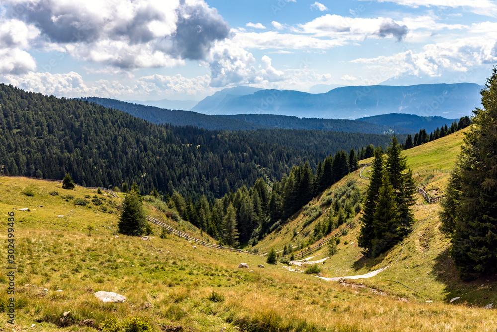 Meraner Bergwelt mit Wald Meraner Bergwelt mit Wald