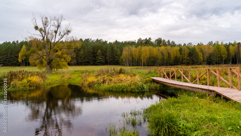 Puszcza Knyszyńska, Polska złota jesień, Podlasie, Polska Puszcza Knyszyńska, Polska złota jesień, Podlasie, Polska