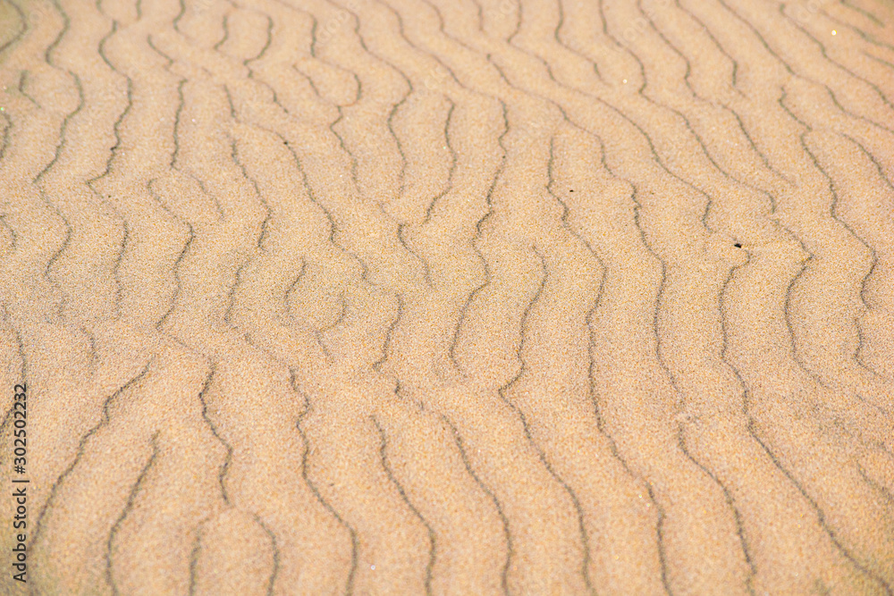 Sea sand background clean yellow Sea sand background clean yellow
