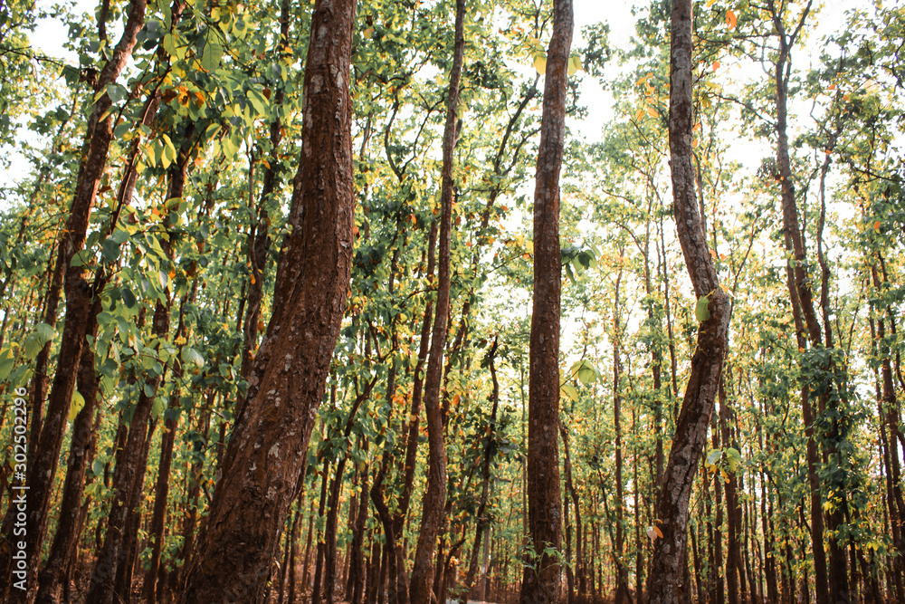 Obraz premium Scena Gajni Obokash Kendro w Bangladeszu