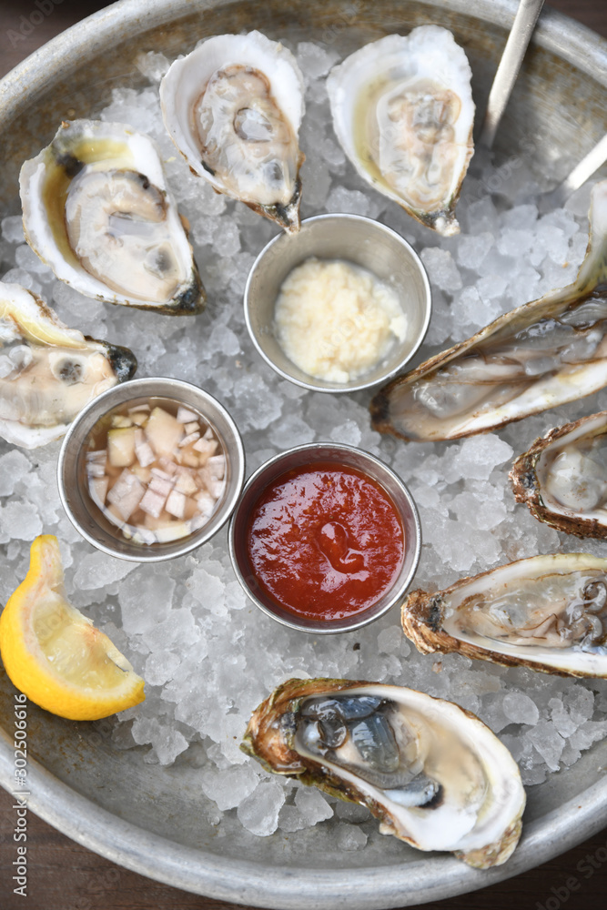 Oysters Oysters